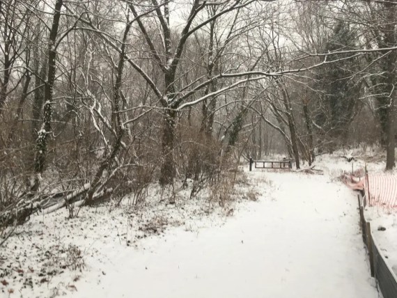 Fourth annual Walk Around Philadelphia is complete!