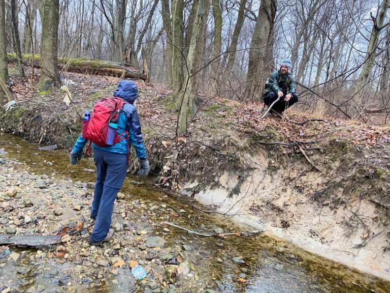 New year, new walk…