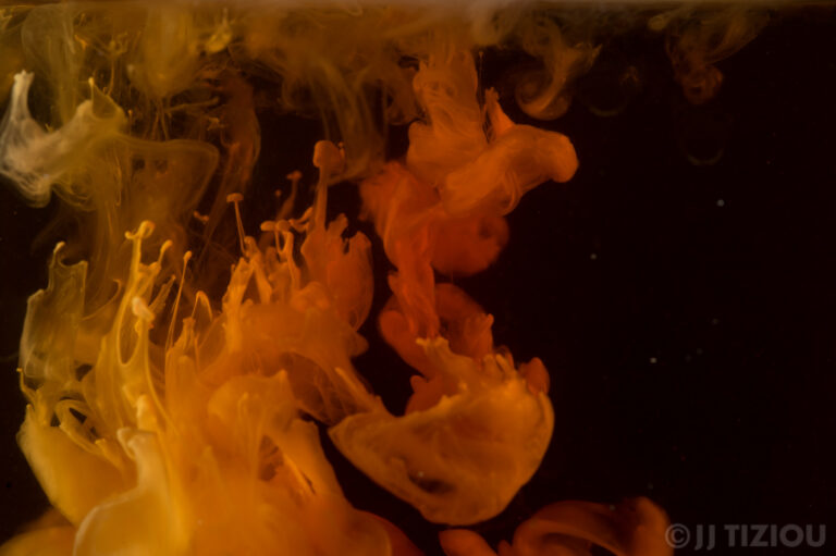 New year’s swirls… and Fun-a-Day!