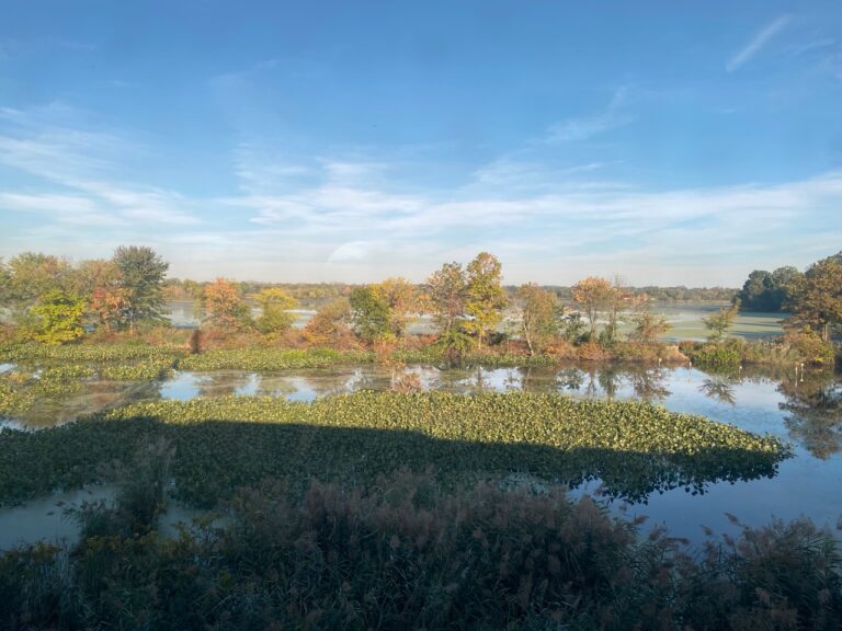 Airport & Southwest: Recap of final weekend of Fall 2021 walk