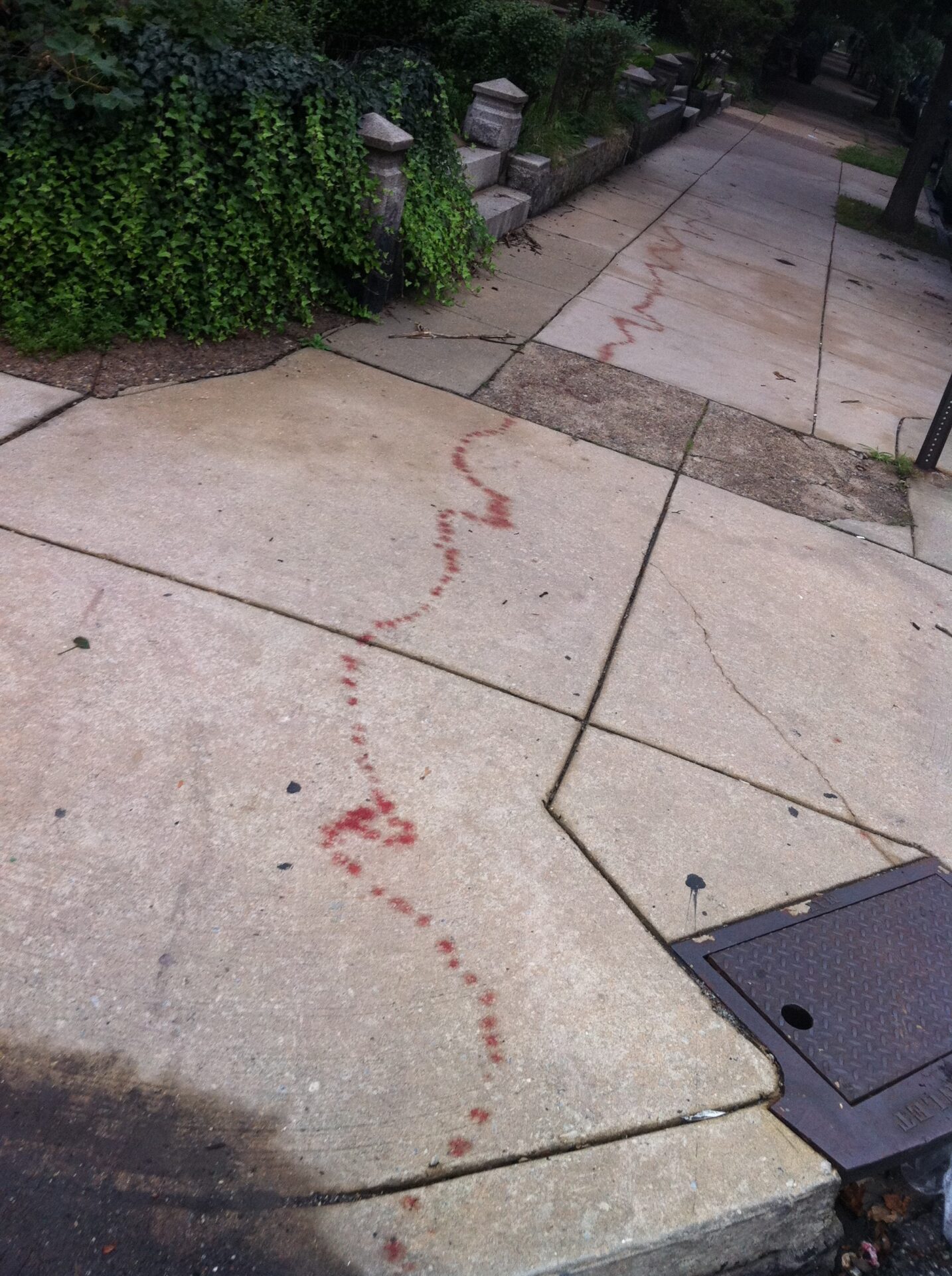 blood on the sidewalk on the 4400 block of Pine Street, Philadelphia